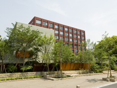 kaijo_photo_1.jpg